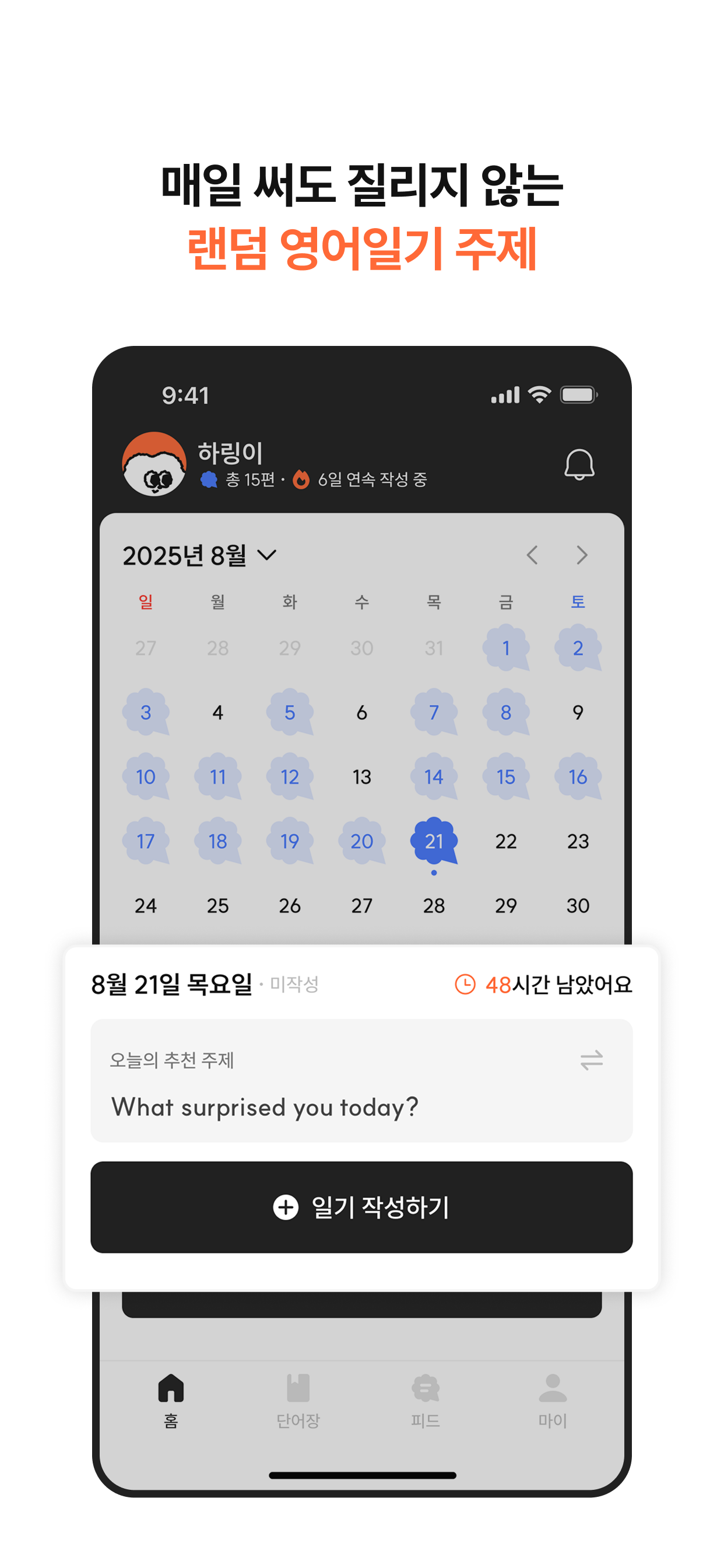 하이링구얼: 영어 일기, AI 피드백