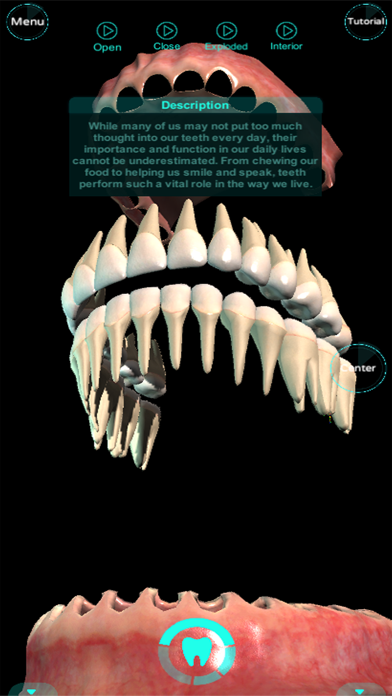 Screenshot #2 pour Dental Professional