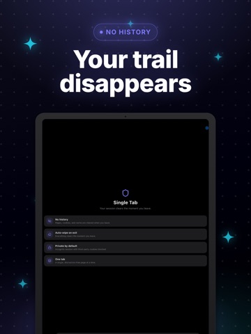Single Tab - Private Browser iPad screenshot