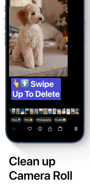 Tidify: Photo Library Cleaner screenshot 2