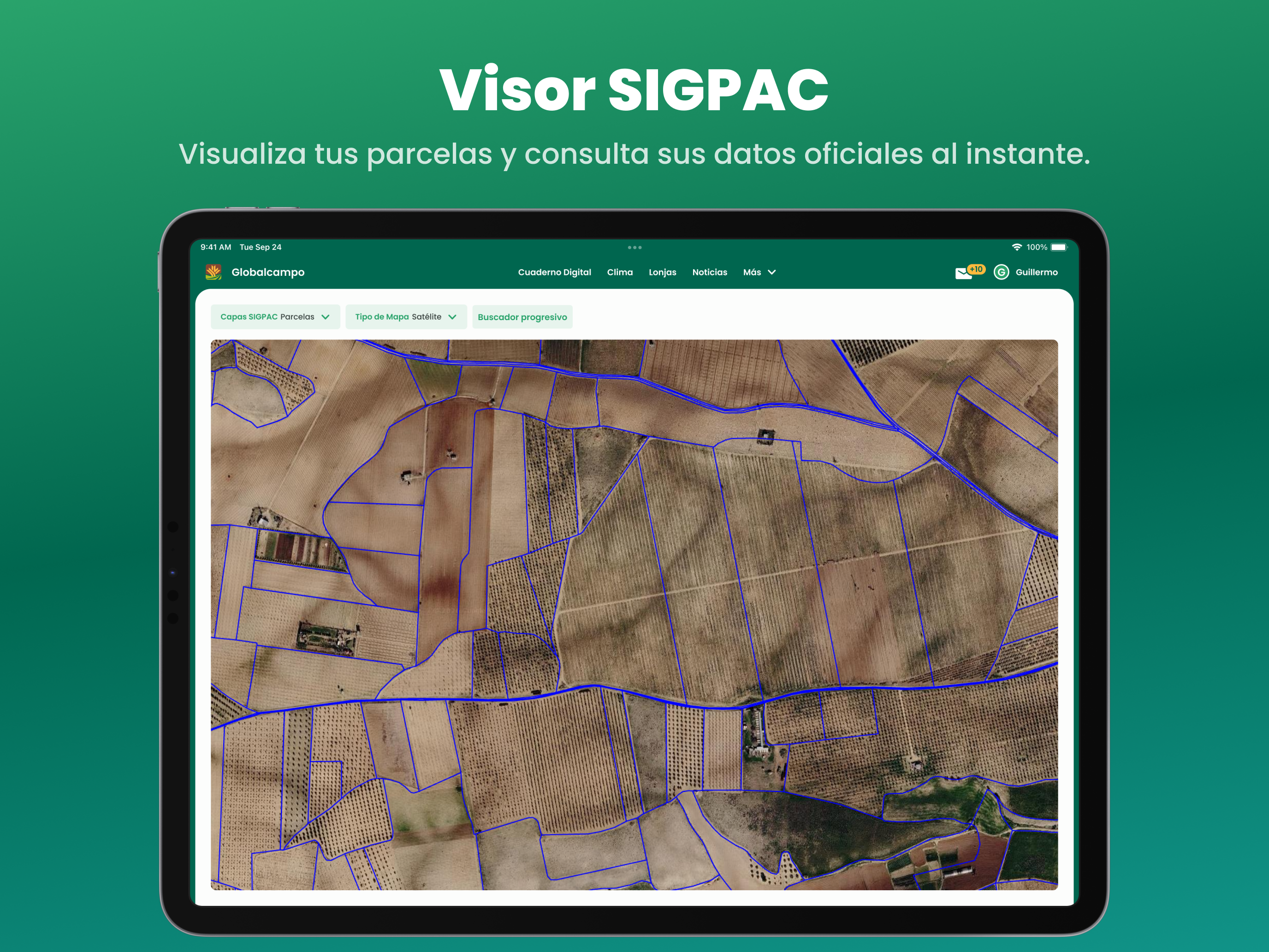 GlobalCampo screenshot 9