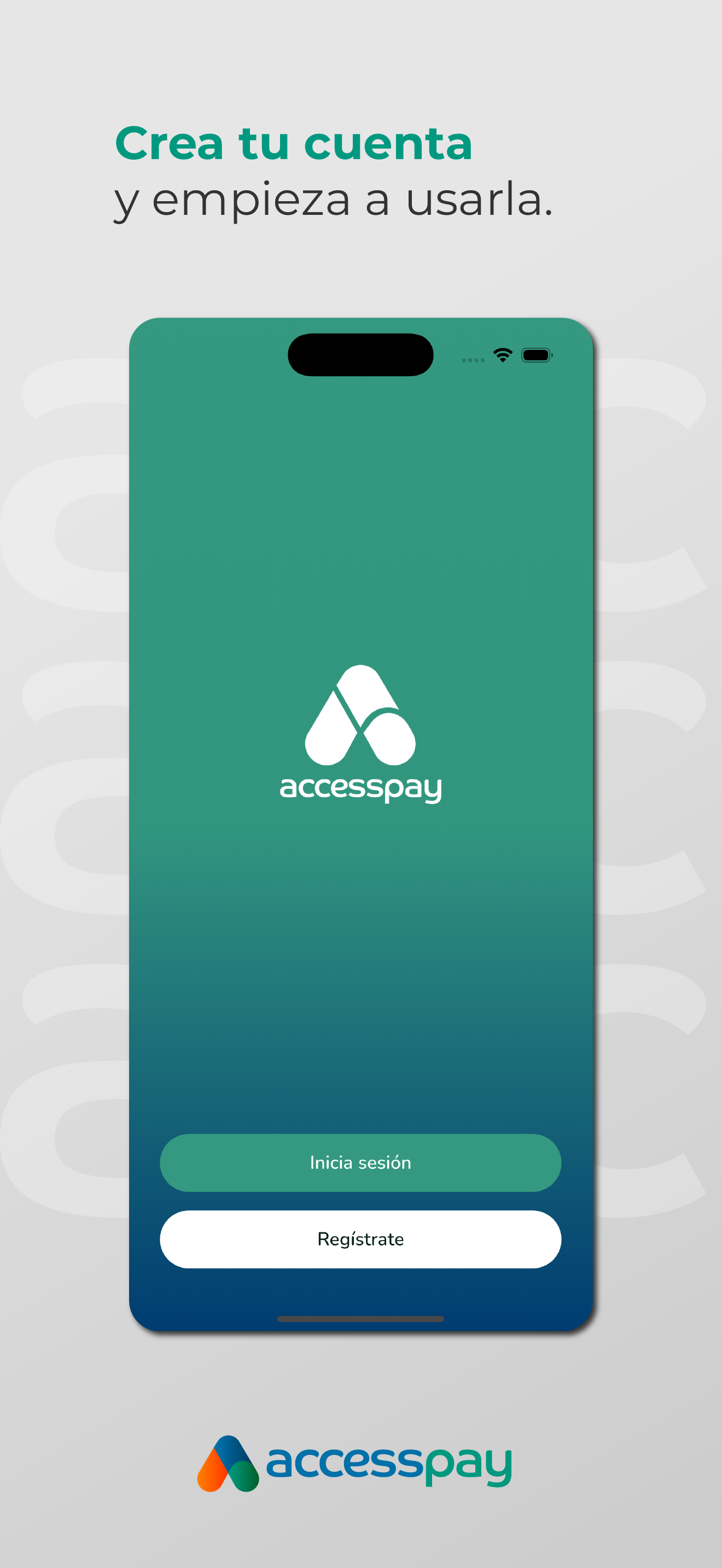 AccessPay