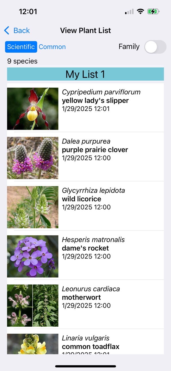 iPhone screenshot