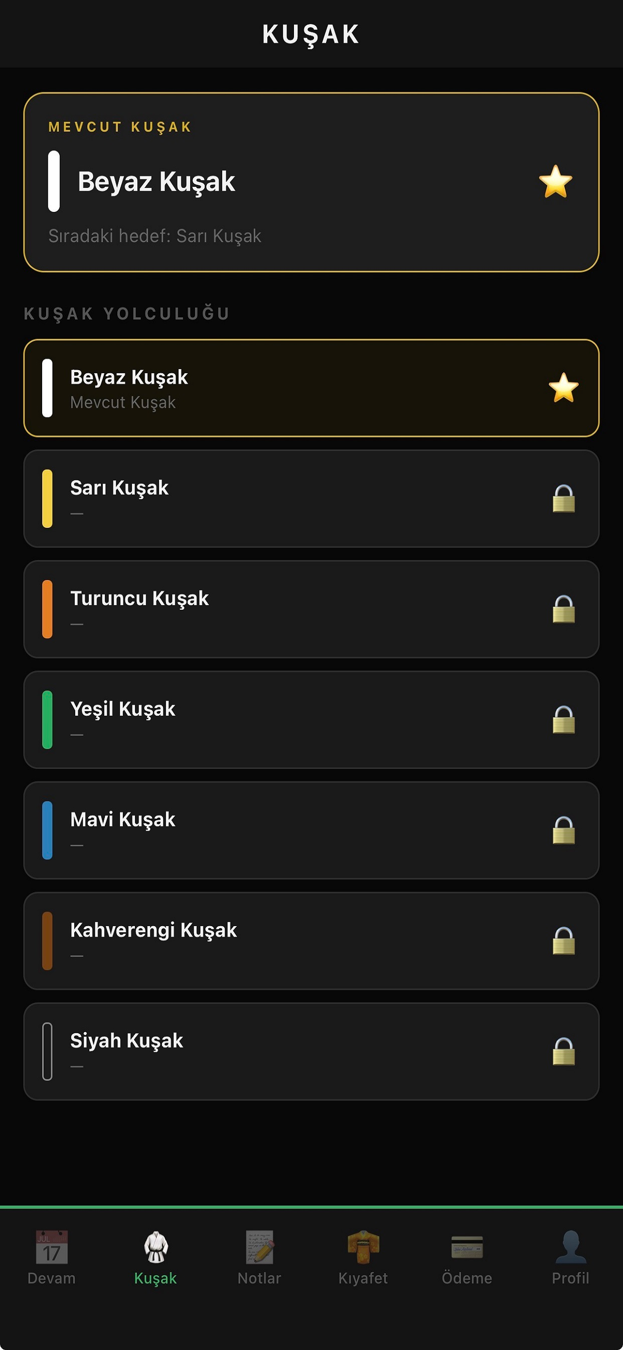 Dojo Karate screenshot 4