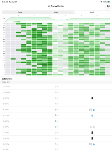 Energy Logger iPad screenshot