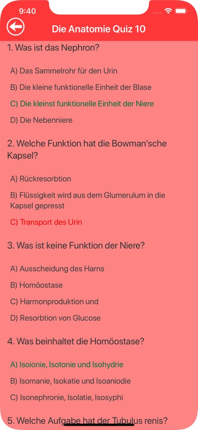 Die Anatomie Quiz