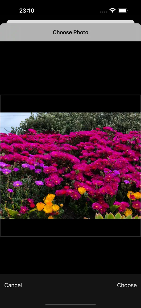 Screenshot #3 pour One tap access to an image
