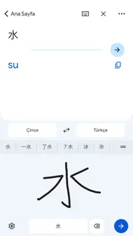 Google Çeviri iphone resimleri 4