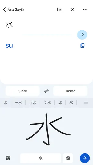 Google Çeviri iPhone Ekran Görüntüsü 4