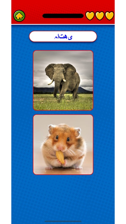 Learn Urdu Flashcards