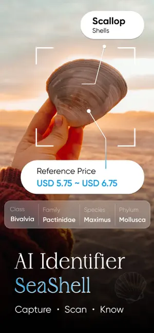 Sea Shell Identifier : Shelify screenshot 1