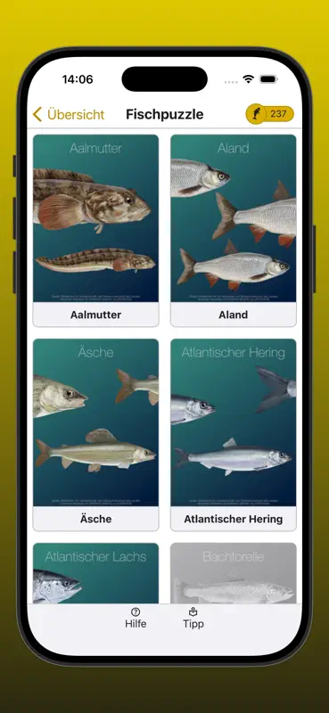 Fischer Lernfragen BW screenshot 9 of 10
