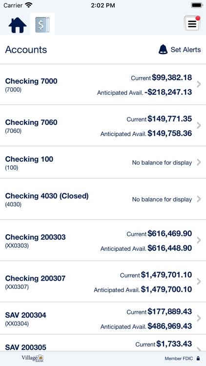 Village Bank Business