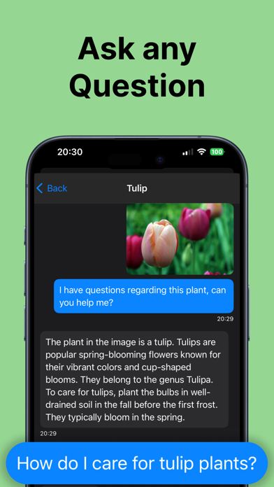 Plant Identifier: Care Tips Screenshot