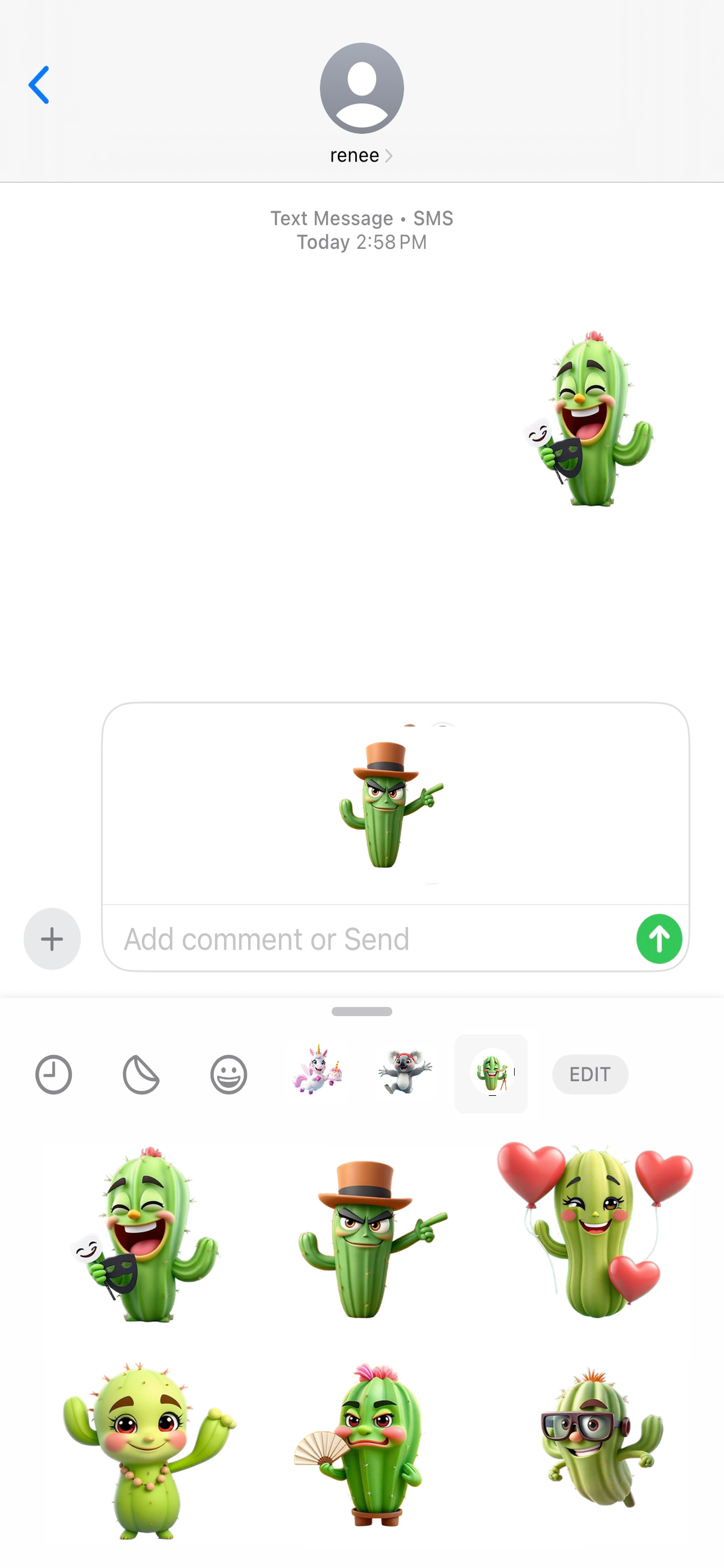 Super Sassy Cactus Stickers