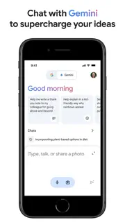 Google screenshot 3