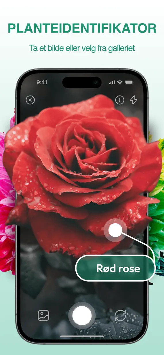 PlantExpert Leaf Identifier screenshot 1