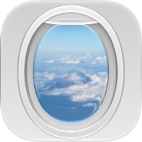 Raylie: Flight View Guide