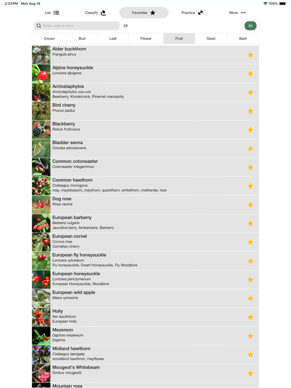 iForest - Trees & Bushes