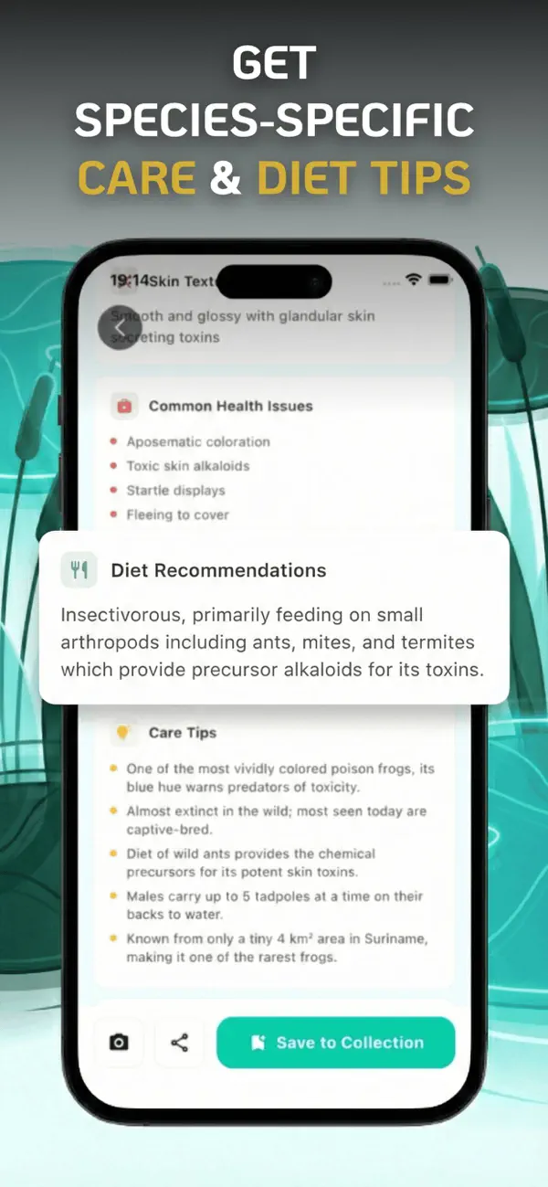 #3. Frog Identifier : Toad Scanner (iOS) Ved: BASAK GEDIK