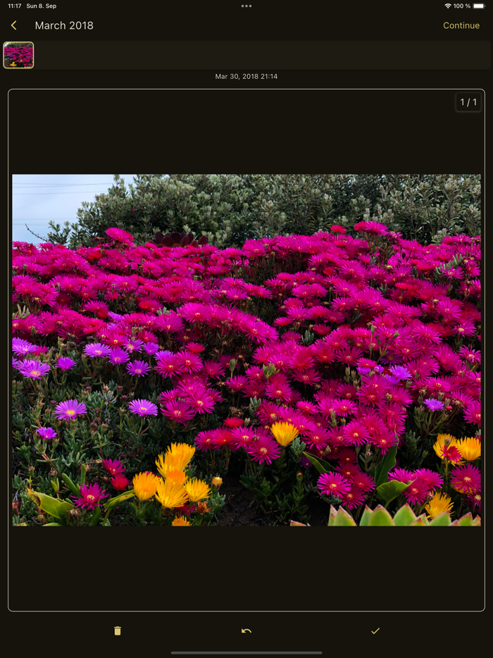 Photo Cleaner Gallery Swipee