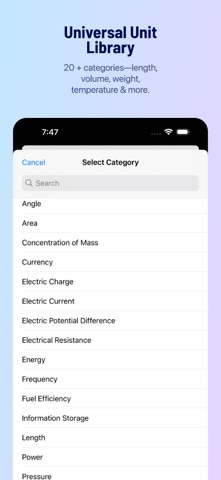 Convertor screenshot