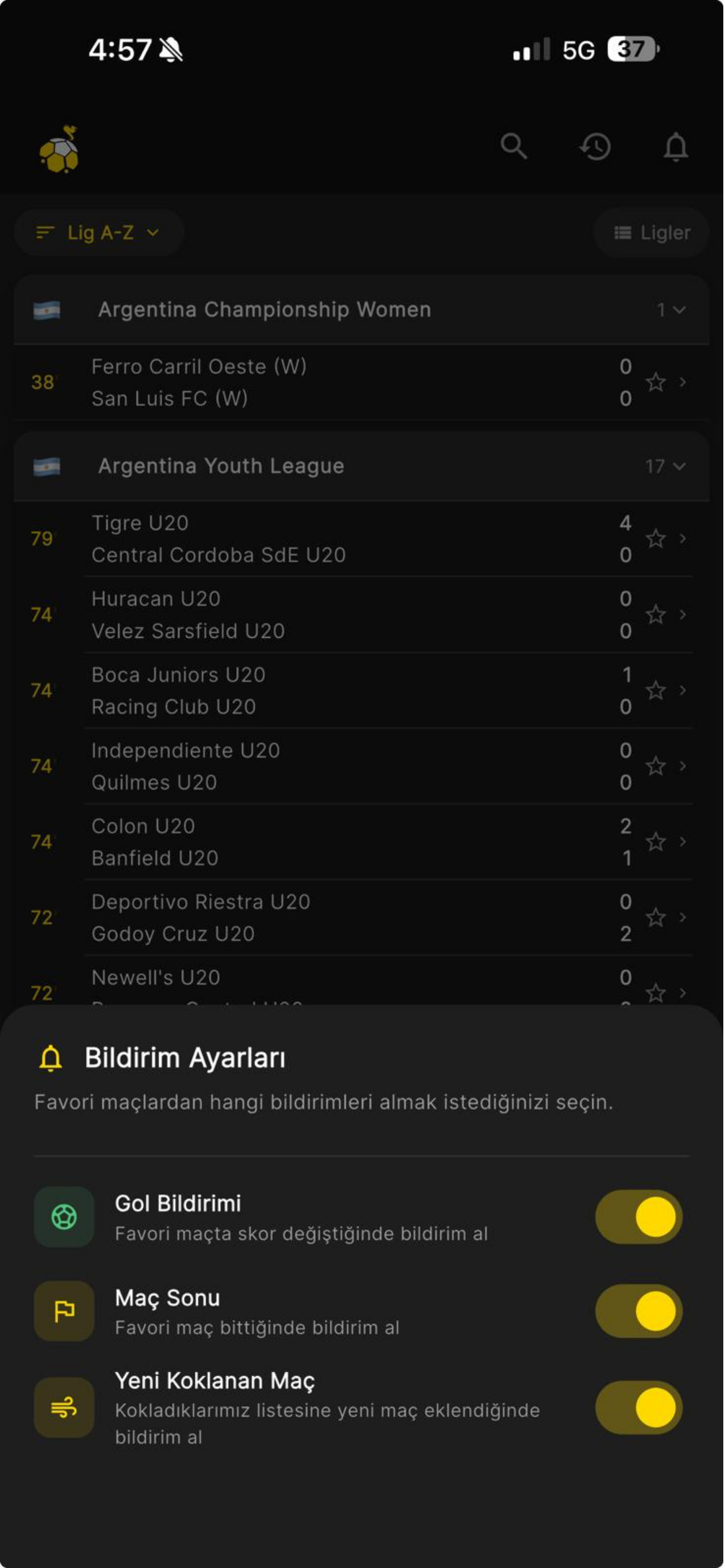 Gol Kokusu screenshot 7