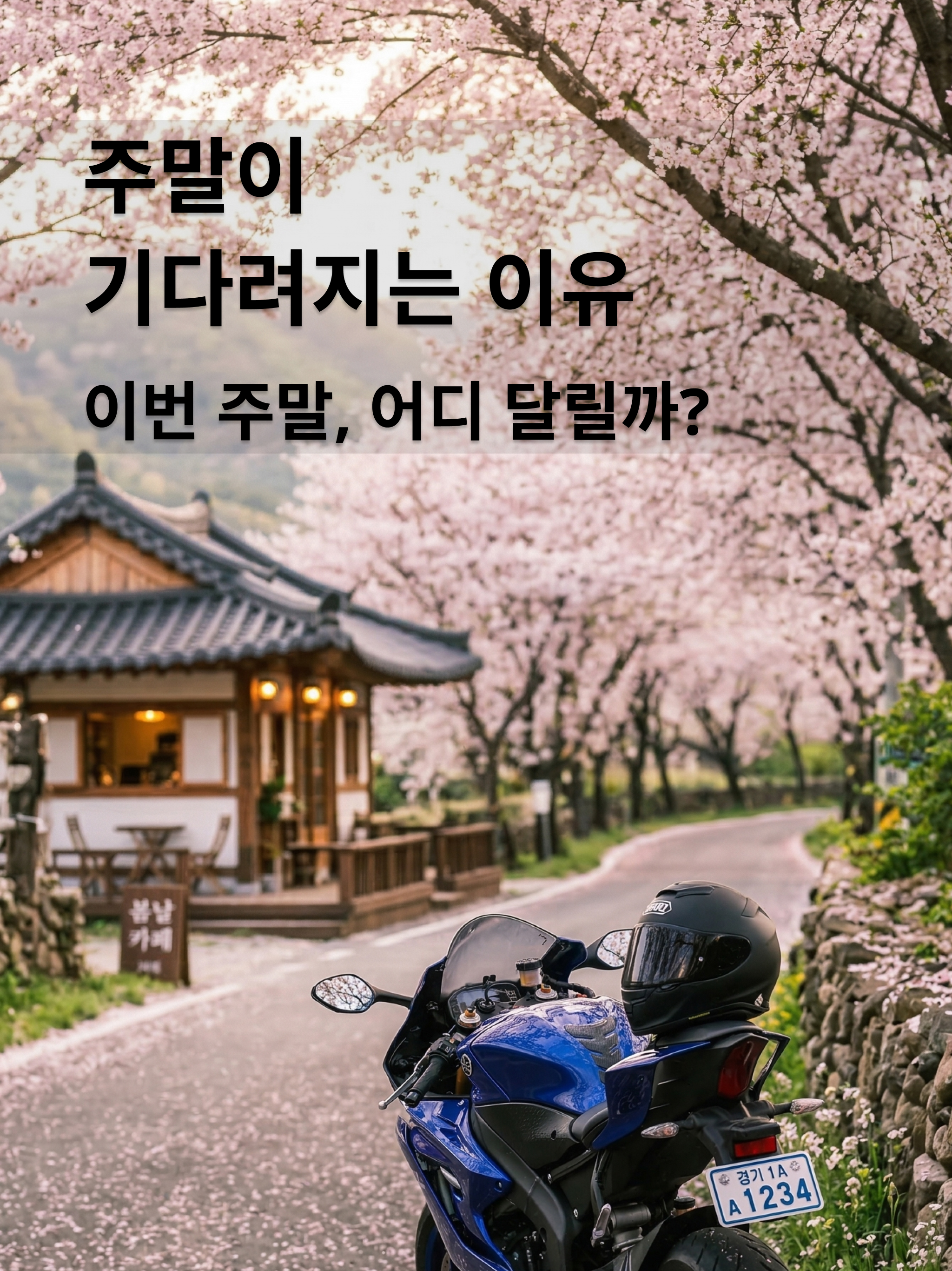 BariWeekend - 바리위켄드 screenshot 10