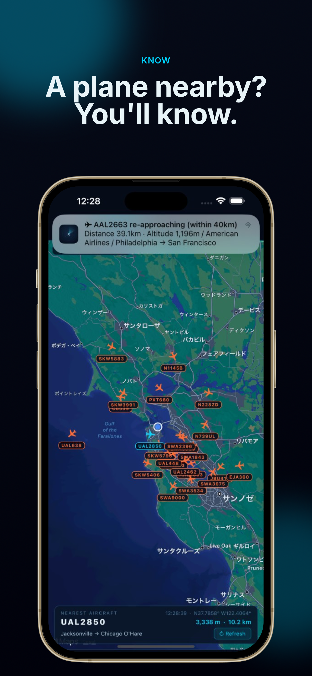 Flight Overhead screenshot 2