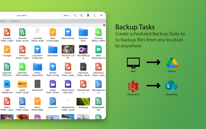 FileBrowser Pro screenshot