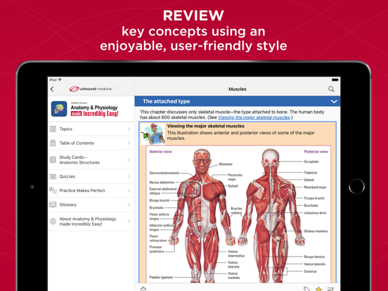 Screenshot #4 pour Anatomy & Physiology Made Easy