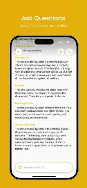 Bird Identifier AI: Bird ID screenshot 3