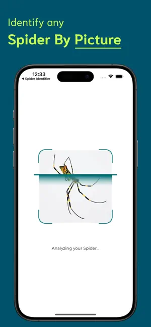 Spider Identifier - SI screenshot 2