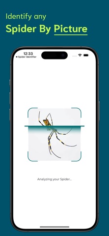 Spider Identifier - SI screenshot