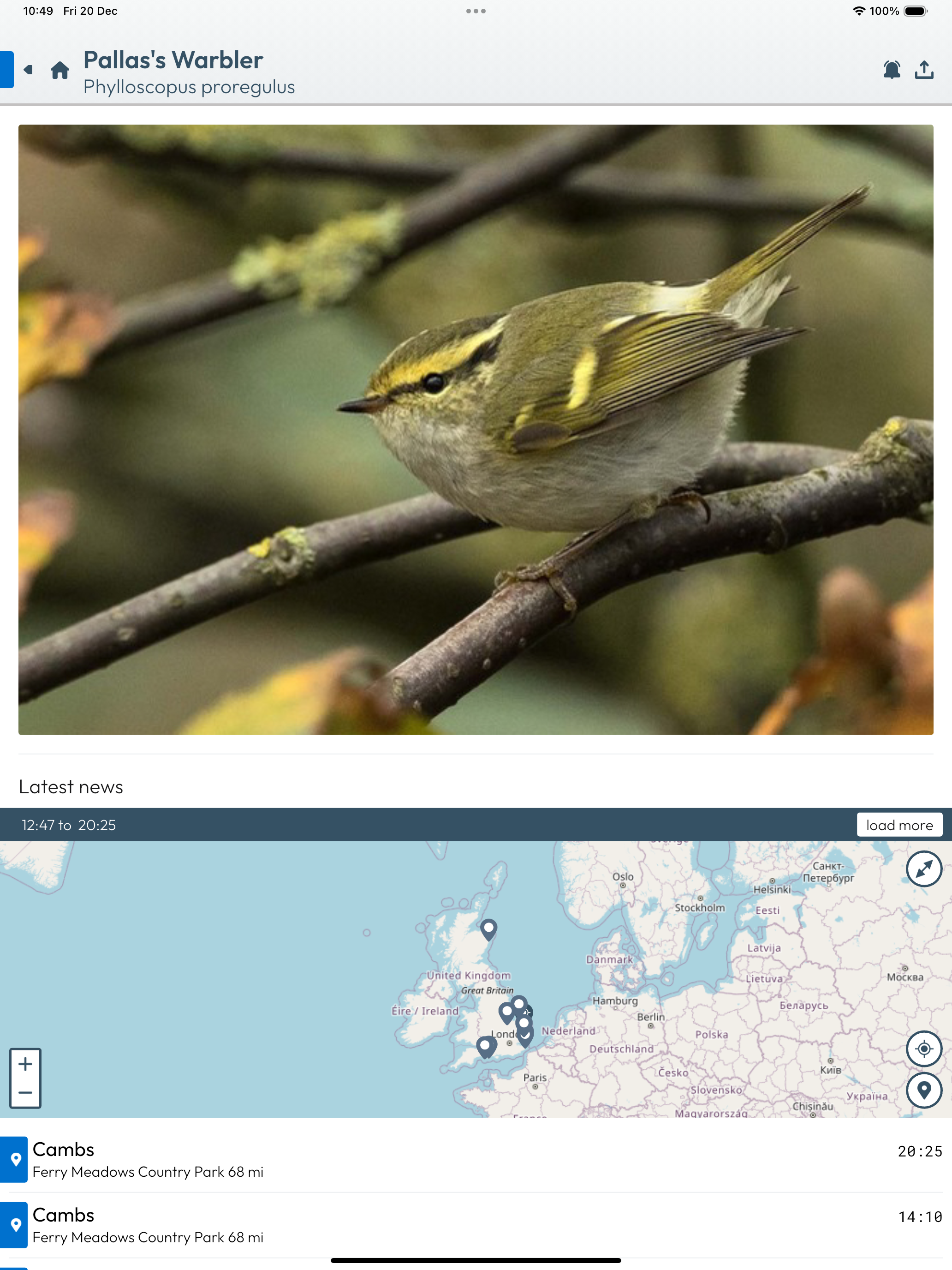 BirdAlertPRO