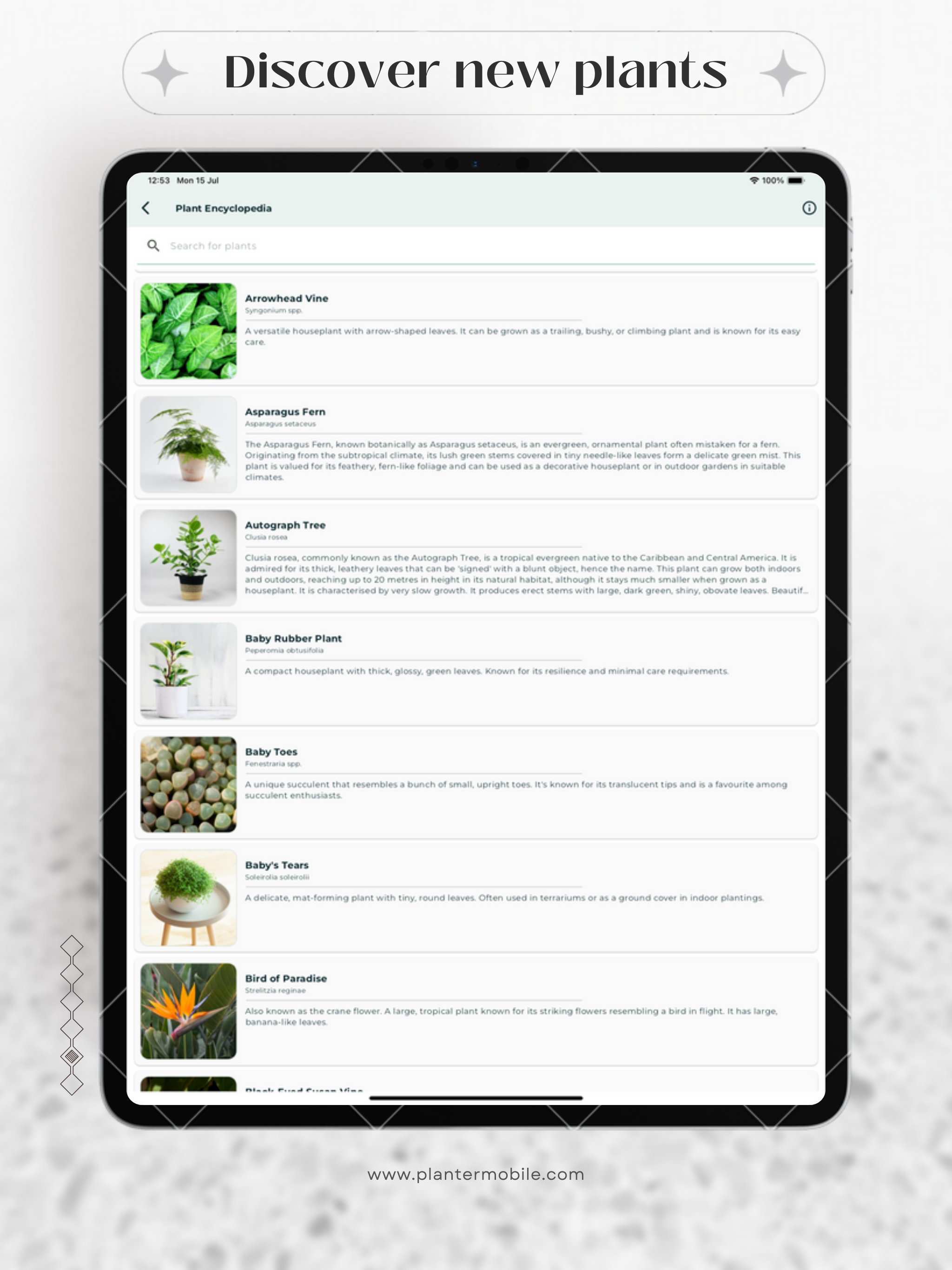 Planter: Plant Care Made Easy
