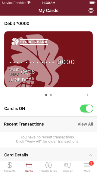 Sturgis Bank Screenshot