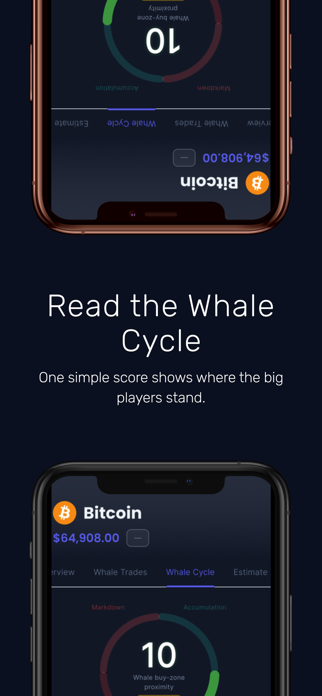 Fluxion: Crypto Whale Tracker Screenshot 8 of 10