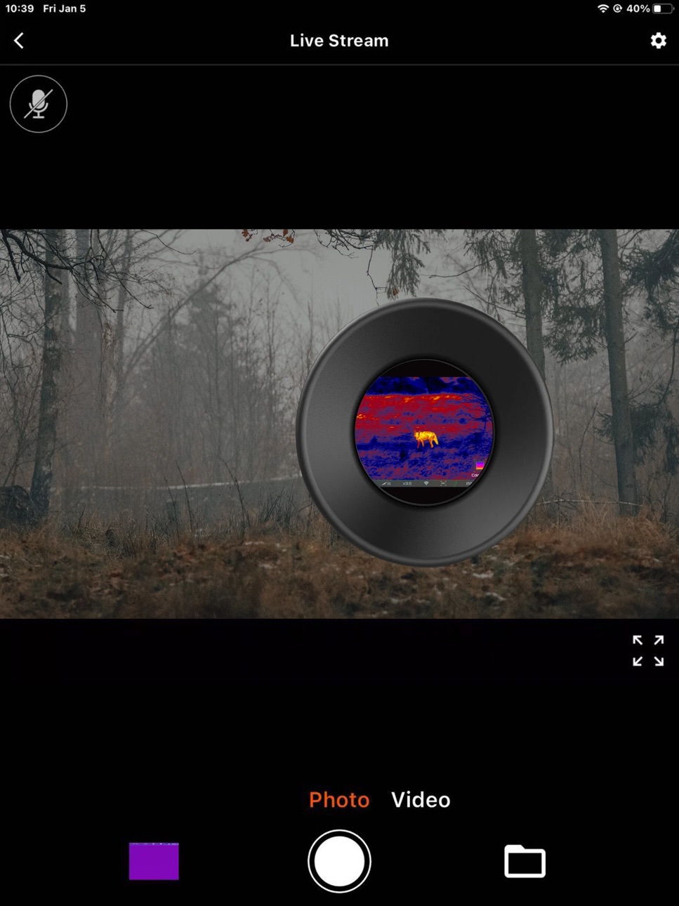 iPad screenshot