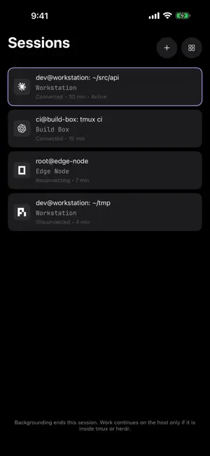 AnySSH screenshot 2