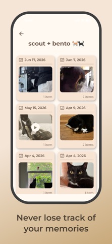 ForgetMeNot: Memory Jars Screenshot 4 of 4