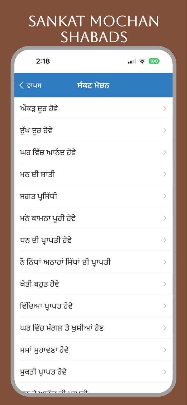 Screenshot #2 pour Sankat Mochan