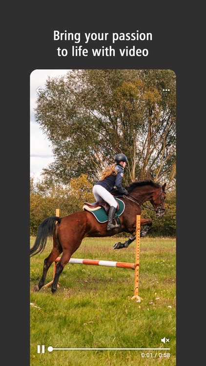 Haylo: for Equestrians screenshot-4