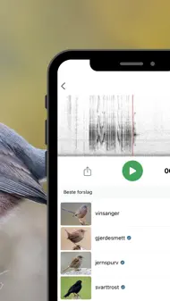 Merlin Bird ID By Cornell Lab iphone bilder 3