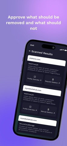 Web Privacy AI – Data Removal screenshot