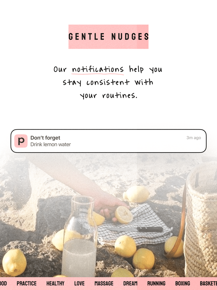 PlanPlume - Task  Notes