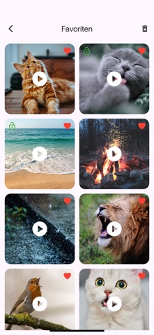 TalkyCat – Talk to Your Cat iPhone screenshot