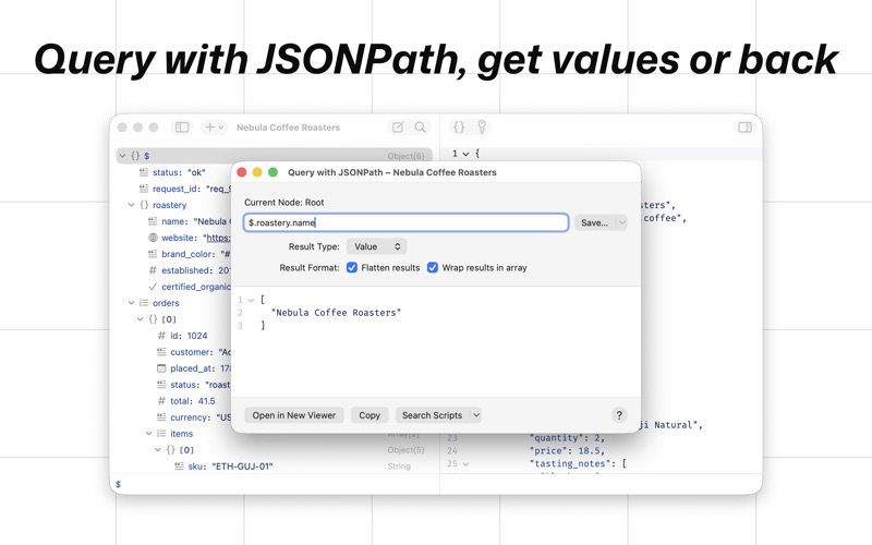 OK JSON - Viewer & Formatter iPhone screenshot