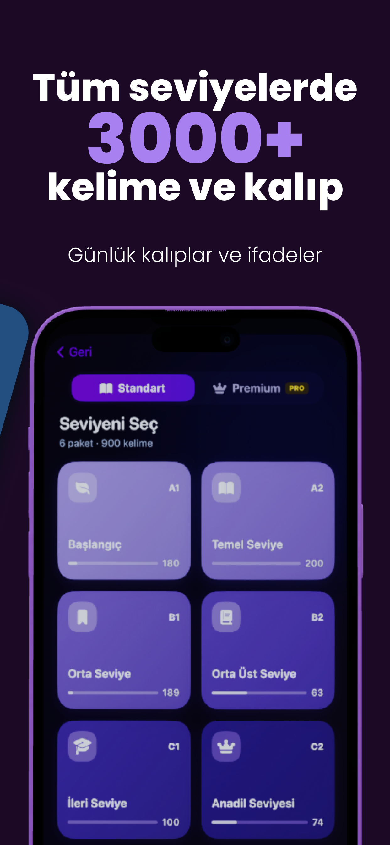 HocaLingo: İngilizce Kelime screenshot 4
