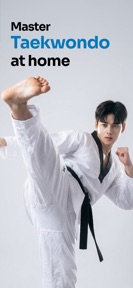 Taekwondo Kicks Training screenshot